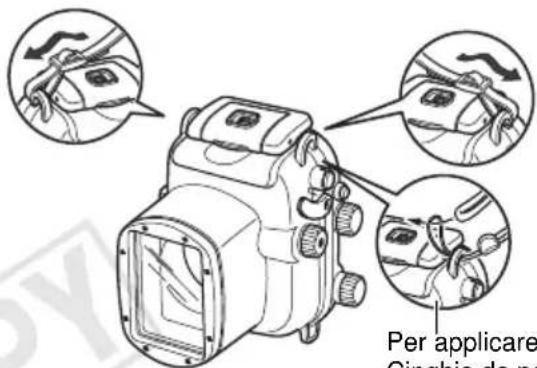 Per applicare Cinghia de ne