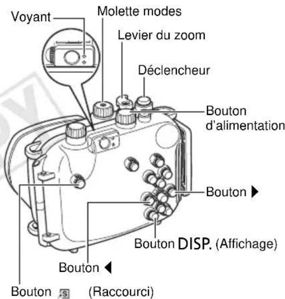 CANON WP-DC34 - Almacenamiento - 1