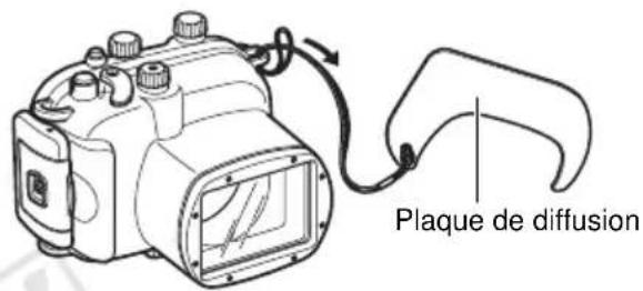Plaque de diffusion