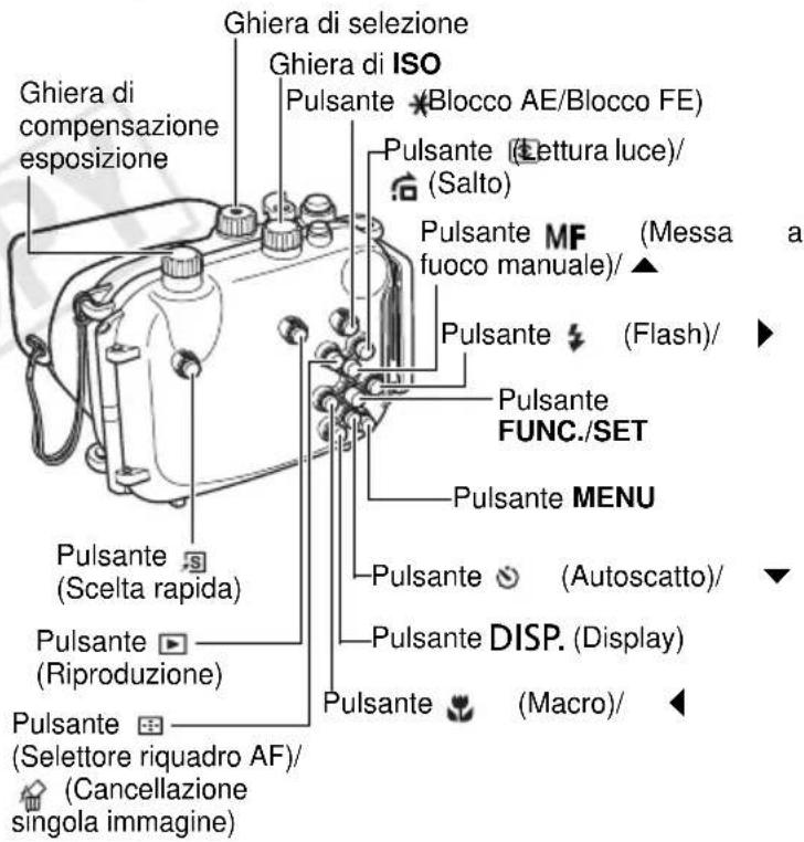 Ghiera di selezione Ghiera di ISO Pulsante (Blocco AE/Blocco FE) Pulsante (Lettura luce)/ (Salto) Pulsante MF (Messa a fuoco manuale)/ Pulsante (Flash)/ Pulsante FUNC./SET Pulsante MENU Pulsante (Autoscatto)/ Pulsante DISP. (Display) Pulsante (Macro)/ Pulsante (Selettore riquadro AF)/ (Cancellazione singola immagine)