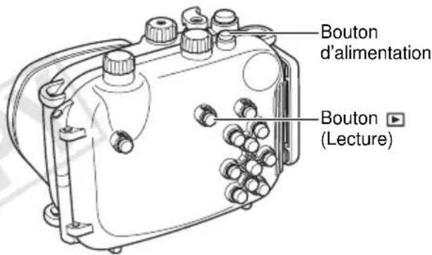 Bouton d'alimentation Bouton (Lecture)