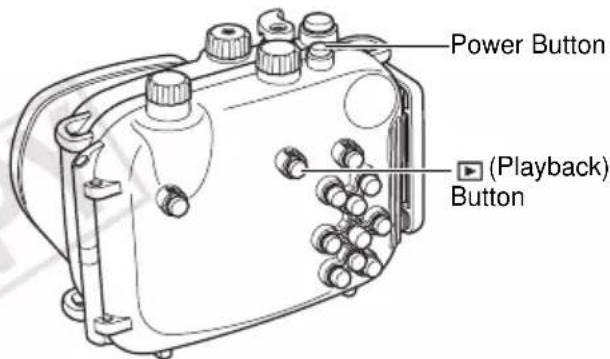 Power Button (Playback) Button