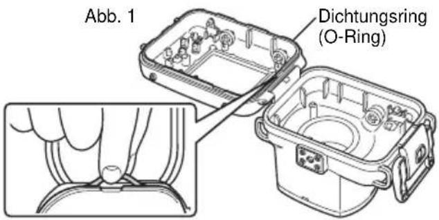 Abb. 1 Dichtungsring (O-Ring)