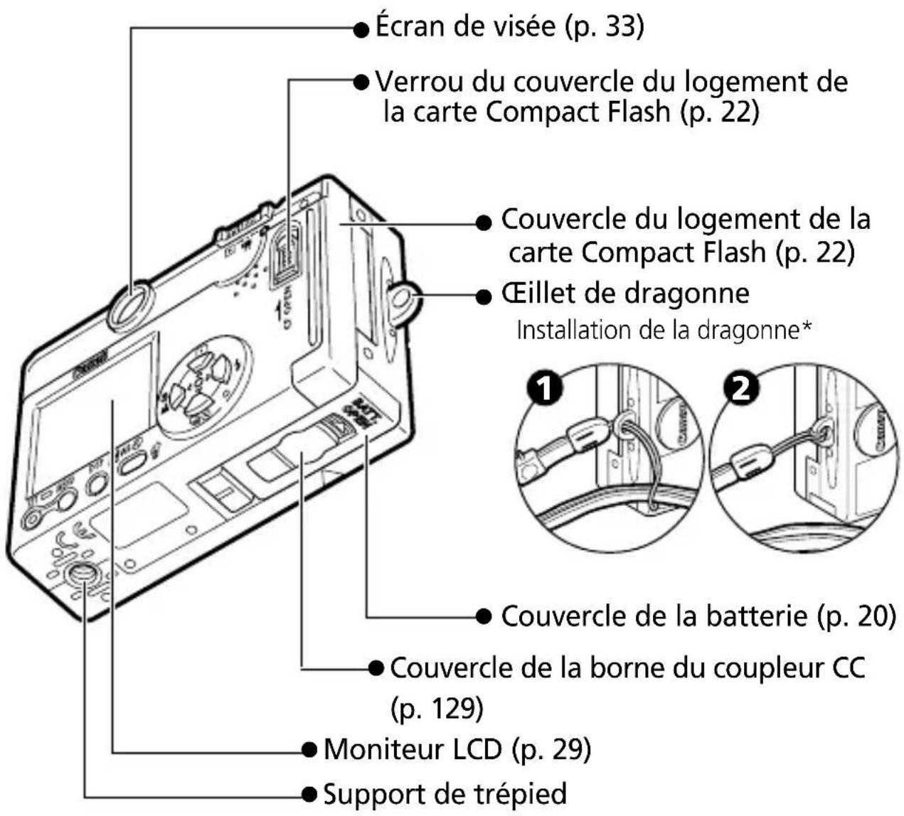 CANON Digital IXUS V2 - Vue arrière - 1