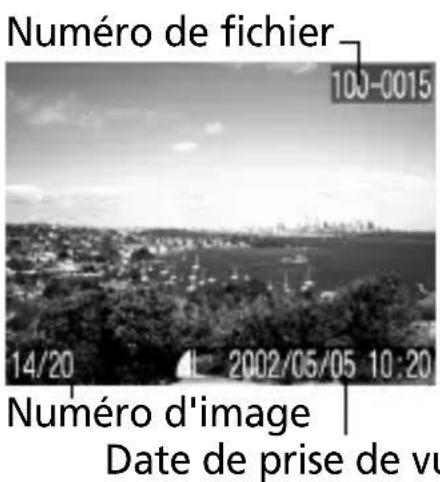 CANON Digital IXUS V2 - Mode Lecture (Affichage Standard) - 1