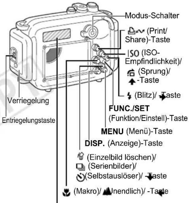 Modus-Schalter (Print/ Share)-Taste ISO (ISO- Empfindlichkeit)/ (Sprung)/ -Taste (Blitz)/ -Taste FUNC./SET (Funktion/Einstell)-Taste MENU (Menü)-Taste DISP. (Anzeige)-Taste (Einzelbild löschen)/ (Serienbilder)/ (Selbstauslöser)/ -Taste (Makro)/ Inendlich)/ -Taste Verriegelung Entriegelungstaste