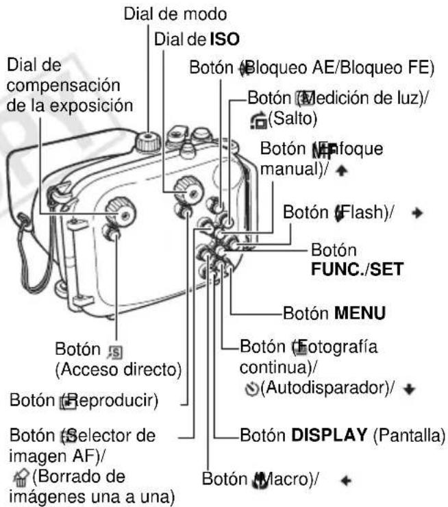 Dial de modo Dial de ISO Dial de compensación de la exposición Botón (Bloqueo AE/Bloqueo FE) Botón (Medición de luz)/ (Salto) Botón (FIFOque manual)/ Botón (Flash)/ Botón FUNC./SET Botón MENU Botón (Eotografía continua)/ (Autodisparador)/ Botón DISPLAY (Pantalla) Botón (Macro)/ Botón (Acceso directo) Botón (Reproducir) Botón (Selector de imagen AF)/ (Borrado de imágenes una a una)