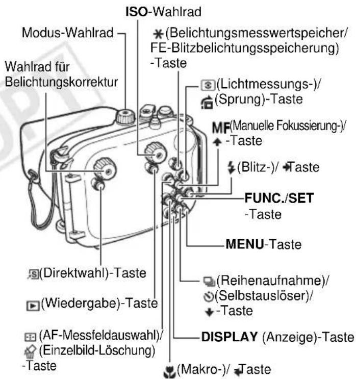 ISO-Wahlrad Modus-Wahlrad Wahlrad für Belichtungskorrektur (Belichtungsmesswertspeicher/FE-Blitzbelichtungsspeicherung) -Taste (Lichtmessungs-/Sprung)-Taste MF(Manuelle Fokussierung-/- -Taste (Blitz-/Taste FUNC./SET -Taste MENU-Taste (Direktwahl)-Taste (Wiedergabe)-Taste (Reihenaufnahme/ (Selbstauslöser)/- -Taste (AF-Messfeldauswahl/ (Einzelbild-Löschung) -Taste DISPLAY (Anzeige)-Taste (Makro-/Taste
