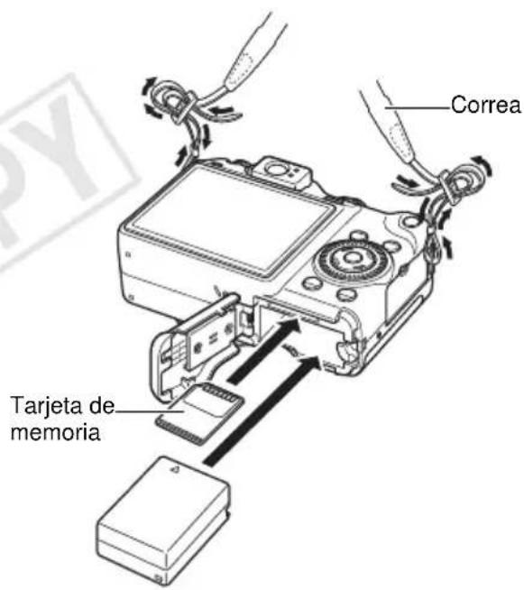 Correa Tarjeta de memoria