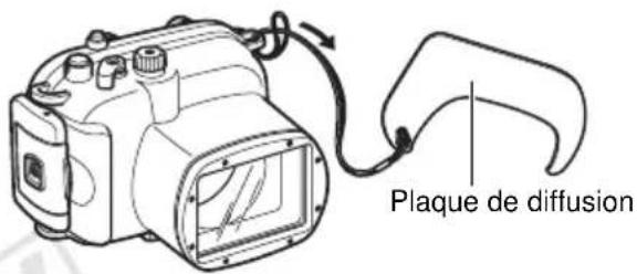 Plaque de diffusion