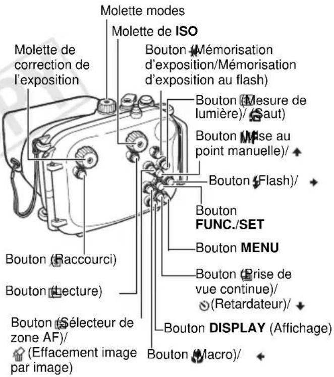 Molette modes Molette de ISO Molette de correction de l'exposition Bouton (Mémorisation d'exposition/Mémorisation d'exposition au flash) Bouton (Mesure de lumière)/ (Saut) Bouton (Mise au point manuelle)/ Bouton (Flash)/ Bouton FUNC./SET Bouton MENU Bouton (Prise de vue continue)/ (Retardateur)/ Bouton DISPLAY (Affichage) Bouton (Sélecteur de zone AF)/ (Effacement image par image) Bouton (Lecture)
