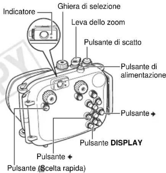 CANON WP-DC28 - Stockage - 1