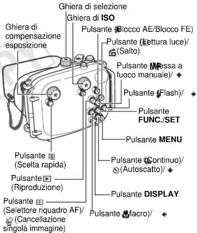 Ghiera di selezione Ghiera di ISO Ghiera di compensazione esposizione Pulsante (Blocco AE/Blocco FE) Pulsante (Lettura luce)/ (Salto) Pulsante (Messa a fuoco manuale)/ Pulsante (Flash)/ Pulsante FUNC./SET Pulsante MENU Pulsante (Continuo)/ (Autoscatto)/ Pulsante DISPLAY Pulsante (Selettore riquadro AF)/ (Cancellazione singola immagine) Pulsante (Scelta rapida)