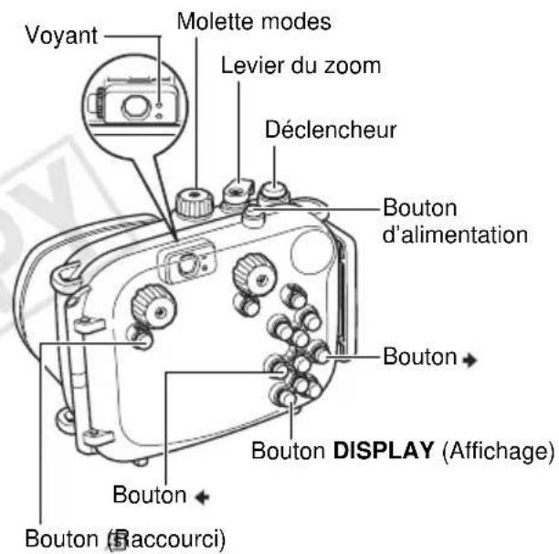 CANON WP-DC28 - Almacenamiento - 1