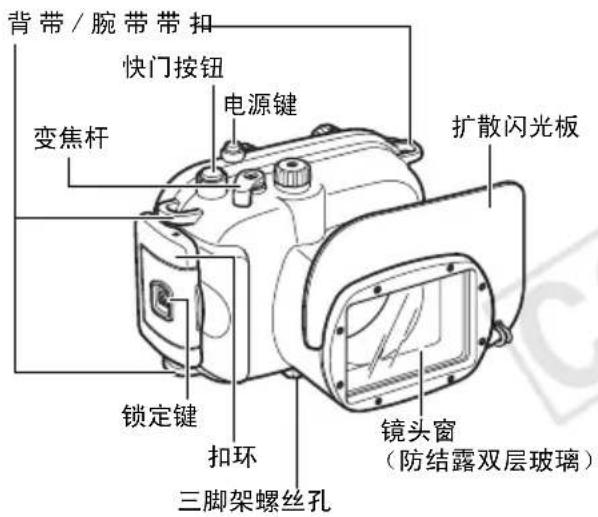 背带/腕带带扣 快门按钮 变焦杆 电源键 扩散闪光板 锁定键 扣环 三脚架螺丝孔 镜头窗 (防结露双层玻璃)