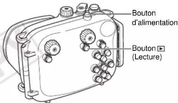 Bouton d'alimentation Bouton ▶ (Lecture)
