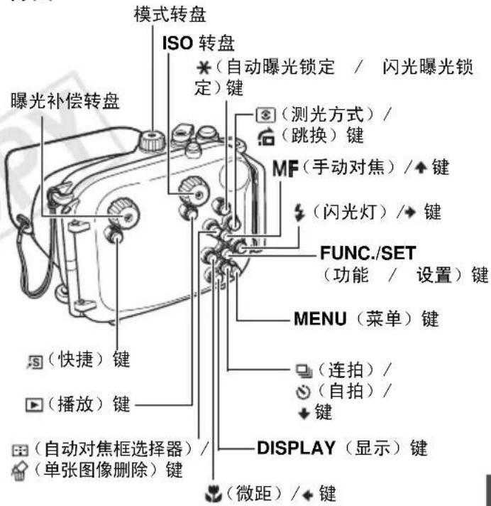 模式转盘 ISO 转盘 曝光补偿转盘 (自动曝光锁定 / 闪光曝光锁定)键 (测光方式)/(跳换)键 MF(手动对焦)/◆键 (闪光灯)/◆键 FUNC./SET (功能 / 设置)键 MENU(菜单)键 (连拍)/(自拍)/◆键 DISPLAY(显示)键 (自动对焦框选择器)/(单张图像删除)键 (微距)/◆键