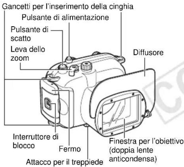 Gancetti per l'inserimento della cinghia Pulsante di alimentazione Pulsante di scatto Leva dello zoom Diffusore Interruttore di blocco Fermo Attacco per il treppiede Finestra per l'obiettivo (doppia lente anticondensa)