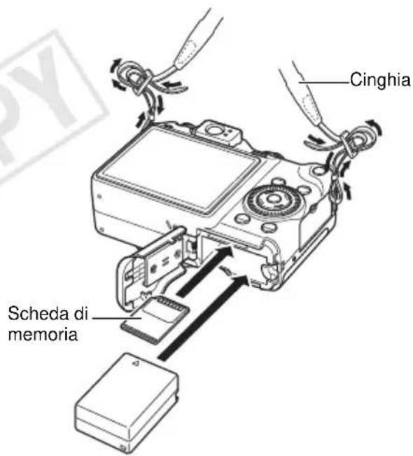 Cinghia Scheda di memoria