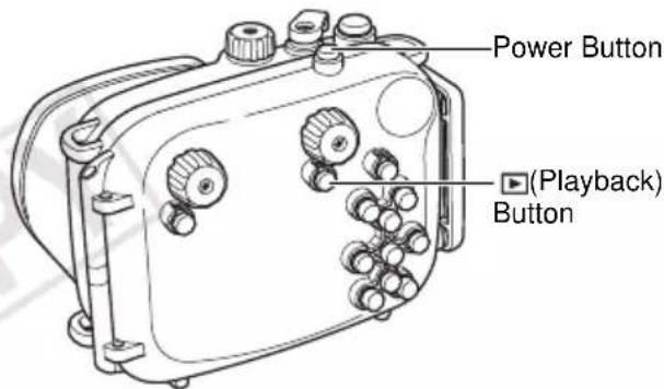 Power Button (Playback) Button