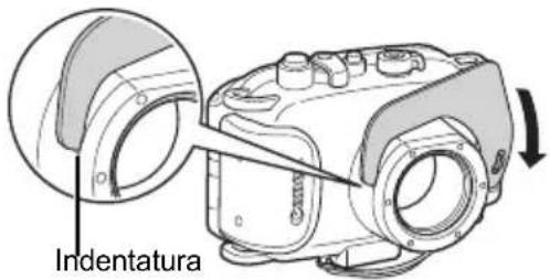 Indentatura