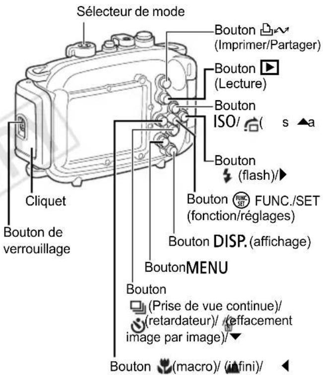 Sélecteur de mode Bouton (Imprimer/Partager) Bouton (Lecture) Bouton ISO/ Bouton (flash)/▶ Bouton FUNC./SET (fonction/réglages) Bouton DISP. (affichage) BoutonMENU Bouton (Prise de vue continue)/ (retardateur)/ (effacement image par image)/▼ Bouton (macro)/ (infini)/ ▼ Cliquet Bouton de verrouillage