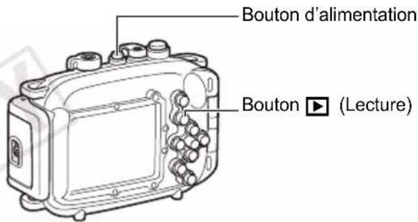 Bouton d'alimentation Bouton ▶ (Lecture)
