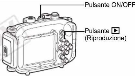 Pulsante ON/OFF Pulsante ▶ (Riproduzione)