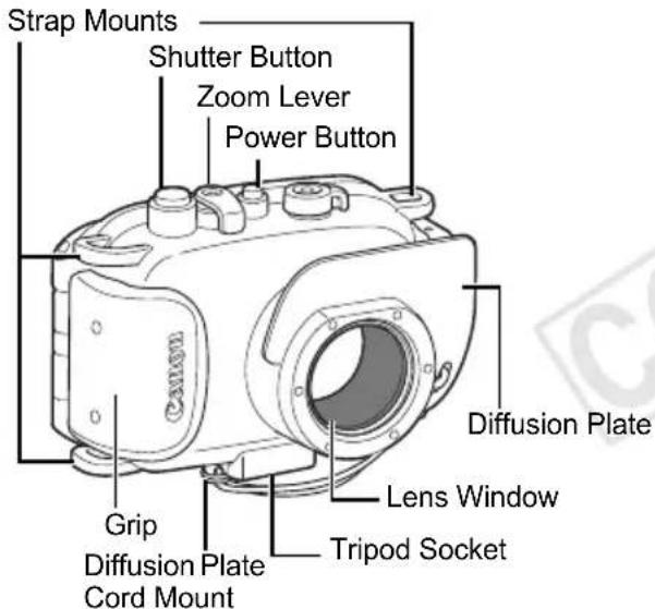 Strap Mounts Shutter Button Zoom Lever Power Button Diffusion Plate Lens Window Grip Diffusion Plate Cord Mount Tripod Socket