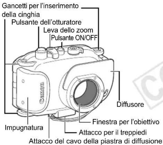 Gancetti per l'inserimento della cinghia Pulsante dell'otturatore Leva dello zoom Pulsante ON/OFF Diffusore Impugnatura Finestra per l'obiettivo Attacco per il treppiedi Attacco del cavo della piastra di diffusione