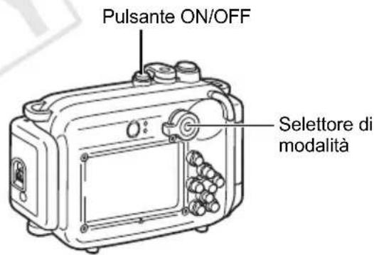CANON WP-DC23 - Rimozione del diffusore - 2
