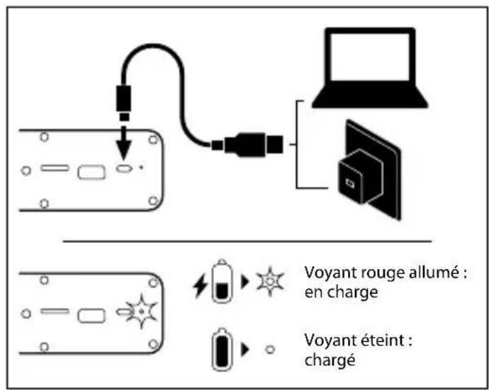 NGS Wild Swag - MANUEL DE L'UTILISATEUR - 1
