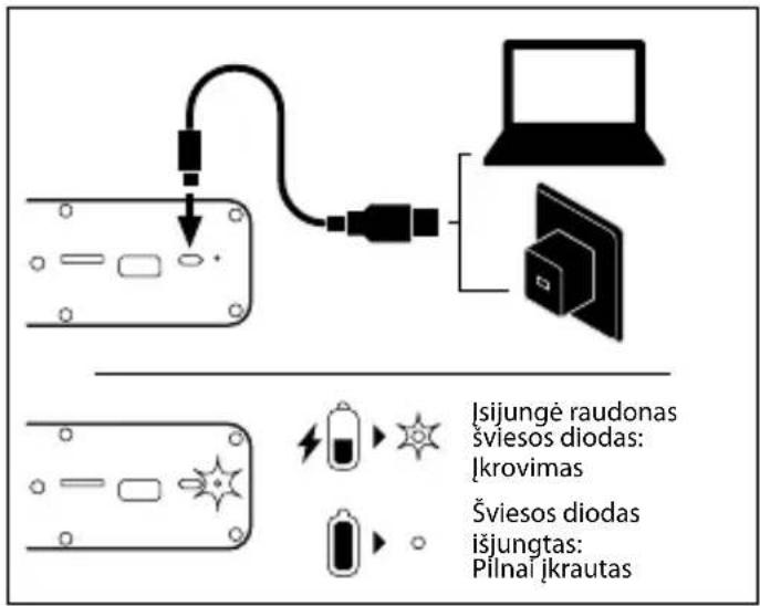 NGS Wild Swag - VARTOTOJO INSTRUKCIJA - 1