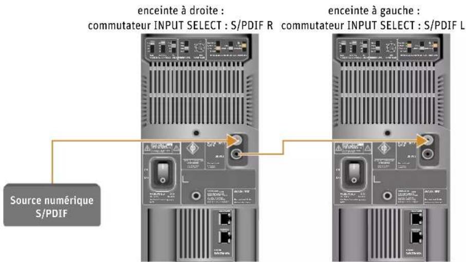 NEUMANN KH 120 II - Raccorder les signaux numériques AES3id et S/PDIF à l'enceinte - 1