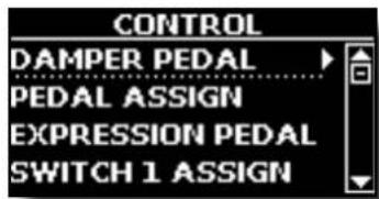 Dexibell Vivo P7 - CONTROL - 2