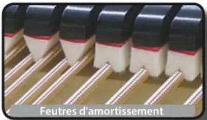 Dexibell Vivo P7 - Damper Noise (bruit des feutres) - 1