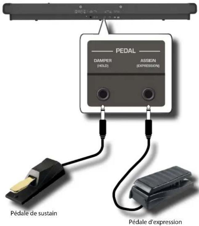 Dexibell Vivo P7 - Branchement des pédales - 1