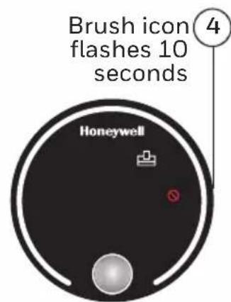 Brush icon flashes 10 seconds Honeywell 4