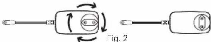 Fig. 2