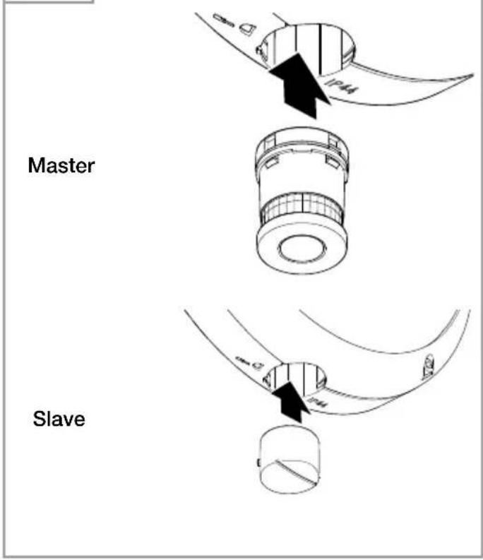Master Slave
