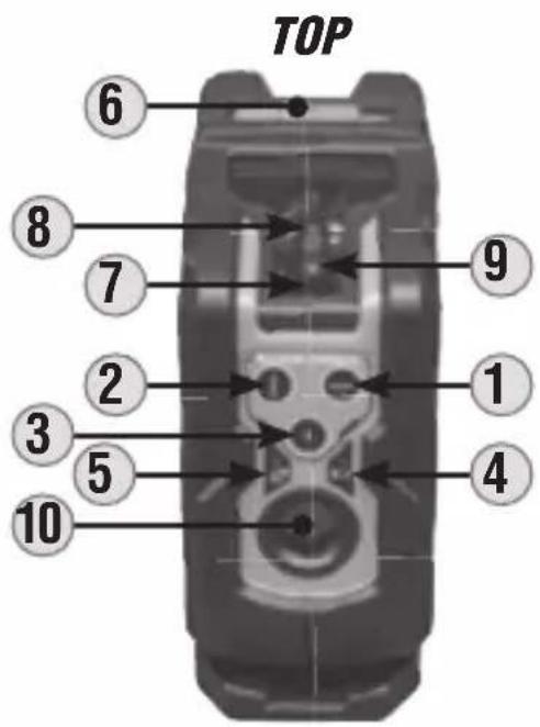 TOP 6 8 7 9 2 1 3 5 4 10