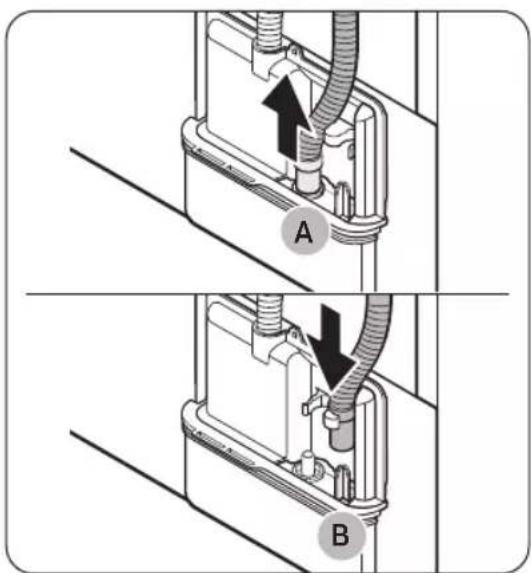 A B