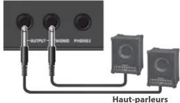 ROLAND GAIA 2 - Connectez votre ampli ou vos enceintes aux prises OUTPUT. - 1