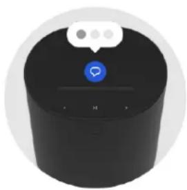 SONOS Move 2 - Commandes et voyants - 4