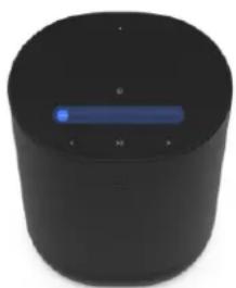 SONOS Move 2 - Commandes et voyants - 1