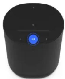 SONOS Move 2 - Commandes et voyants - 2