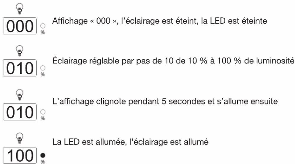 Karibu Kohila 3 - Éclairage - 1