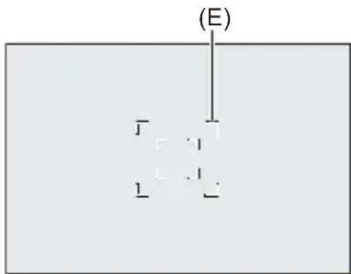 (E)