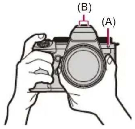(B) (A)
