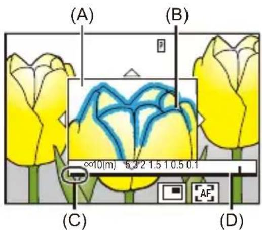(A) (B) ≈10(m) 5.3/2 1.5 1 0.5 0.1 (C) (D)